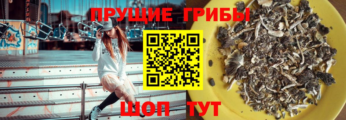 Псилоцибиновые грибы Magic Shrooms  Вход с VPN  Малгобек 